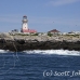 lighthouse_island_seal_machias_h_2197_can1315.jpg